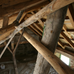 La charpente bois : techniques et savoir-faire du charpentier à Ambares-et-Lagrave